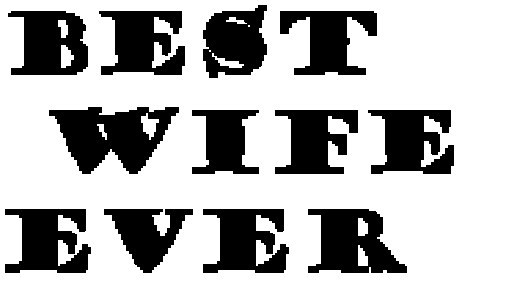 Best Husband and Wife Ever -Couple Printed White T-Shirts