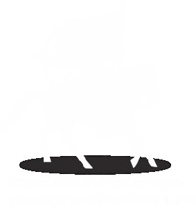 Halat-E-Jung - Black - The Ertugrul Ghazi - 100% cotton t-shirt for Men with soft feel and a stylish cut