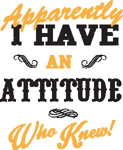I have an attitude - printed T-shirts - Men's stylish clothing - Cool tees for boys