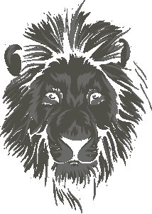 Lion Illustration graphic art - Black - printed T-shirts - Men's stylish clothing - Cool tees for boys