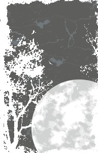 Birds on tree Graphic printed T-shirts - Men's stylish clothing - Cool tees for boys