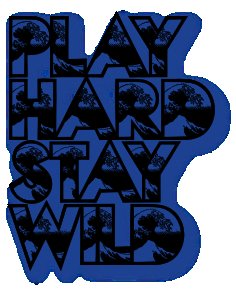 Play hard stay wild - White - Printed - Sports cool Men's T-shirt