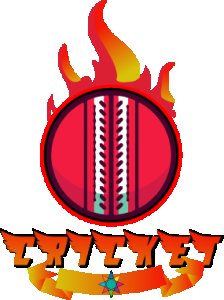 Cricket - firey ball - White - Printed - Sports cool Men's T-shirt