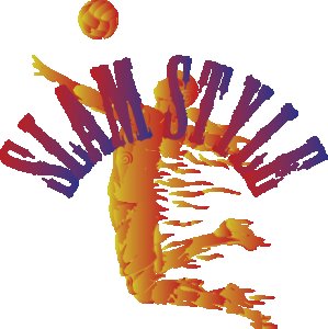 Slam Style - White - Printed - Sports cool Men's T-shirt