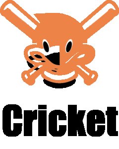 Cricket -White - Printed - Sports cool Men's T-shirt